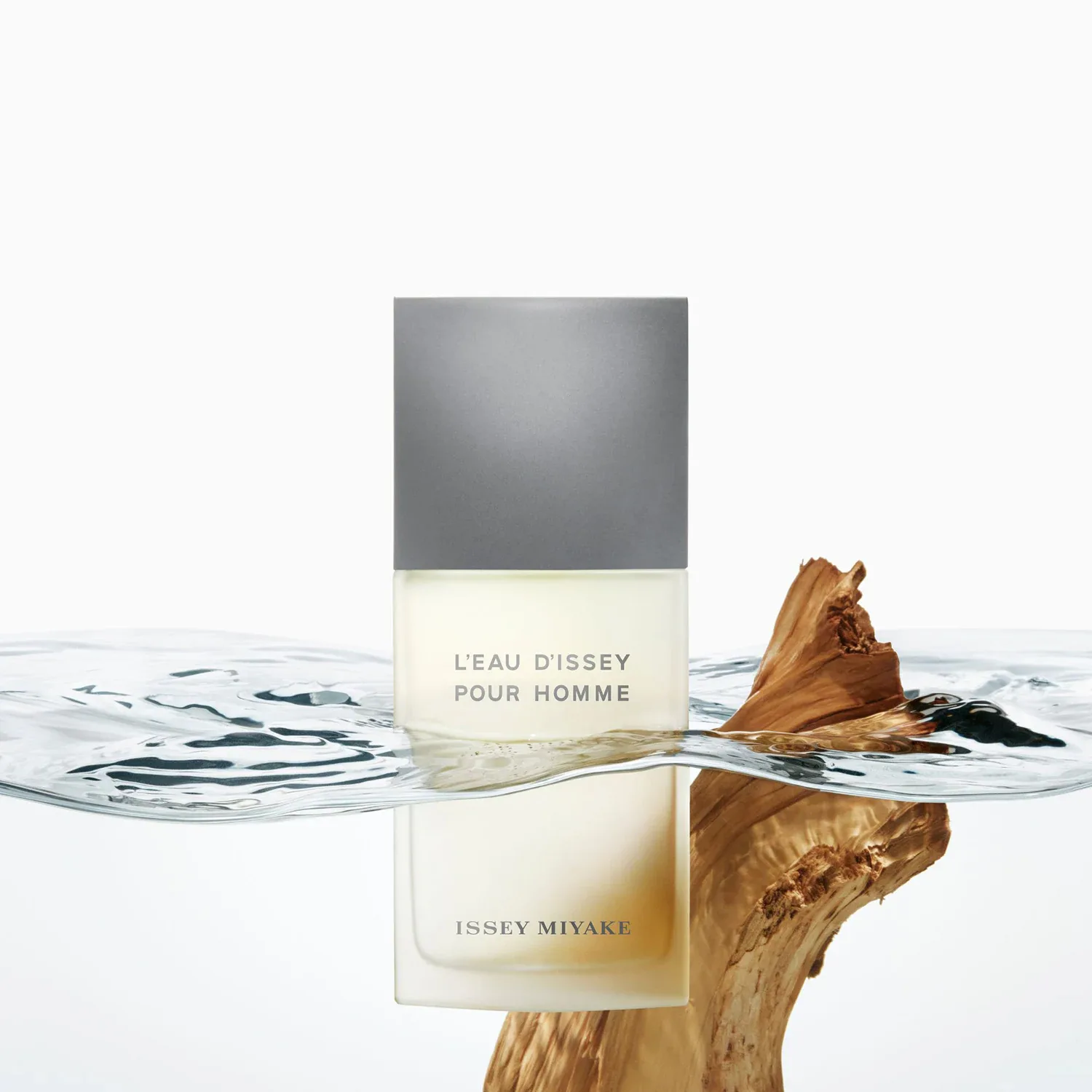 l'eau d'issey pour homme - eau de toilette