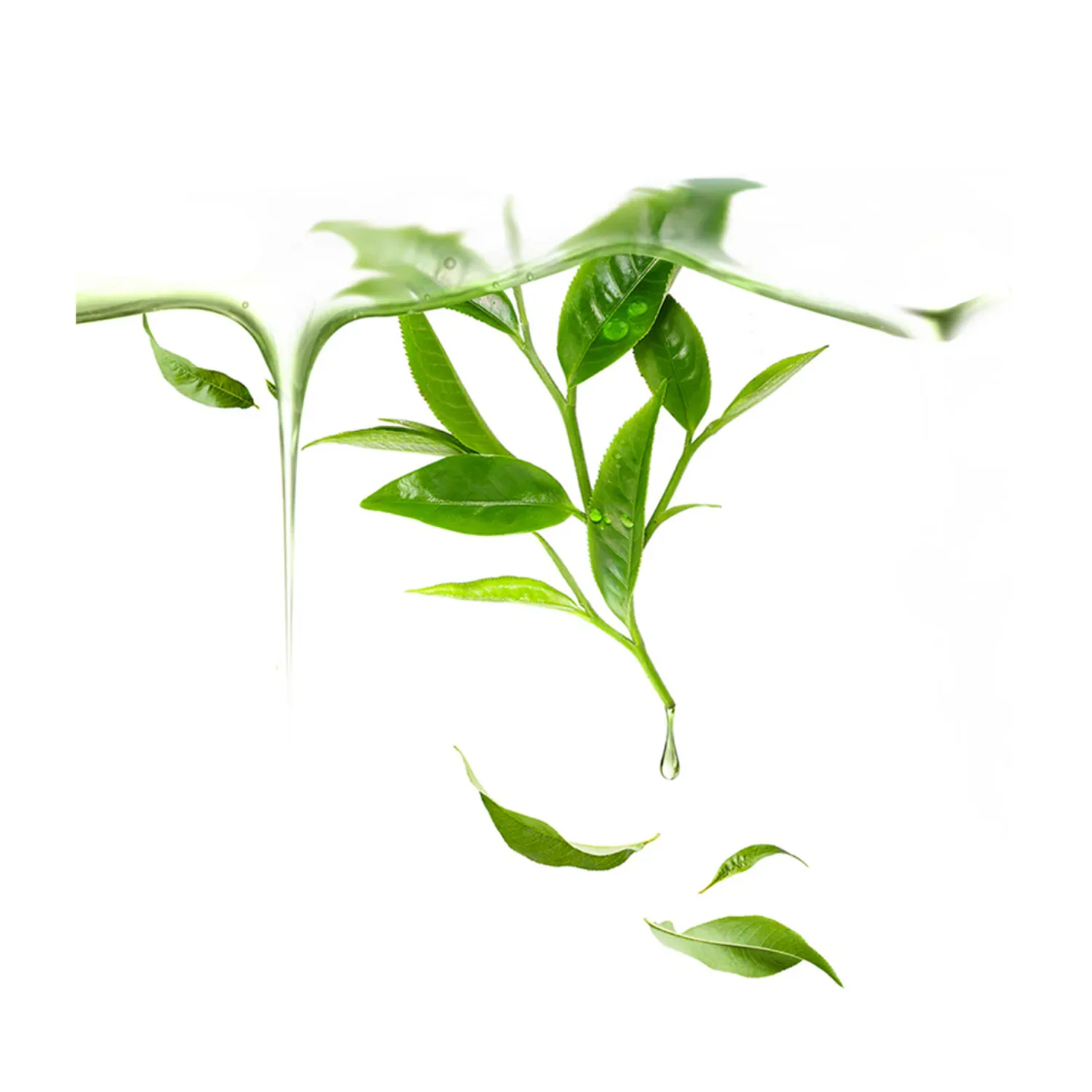 ufo™ green tea - arındırıcı 6'lı aktif maske