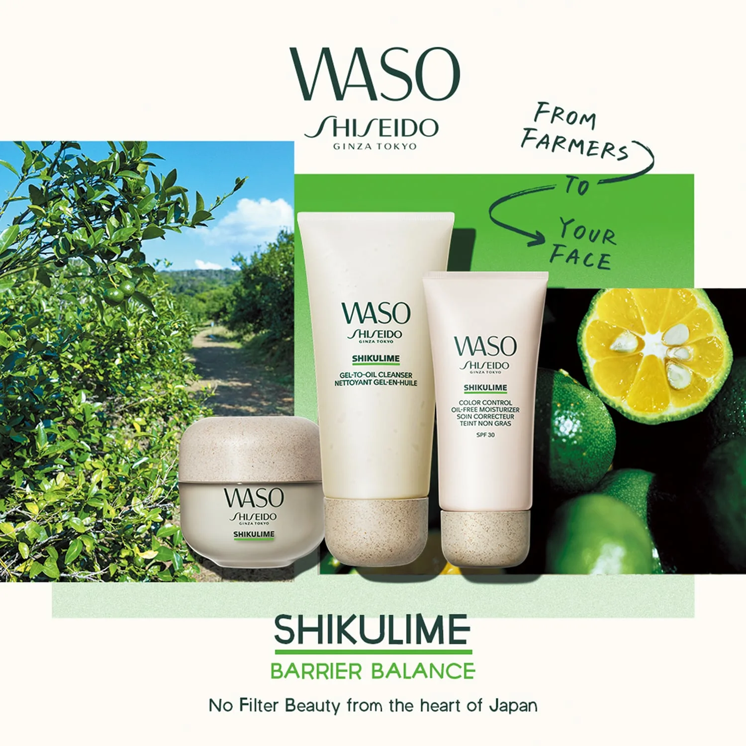 waso - yağsız, renkli nemlendirici
