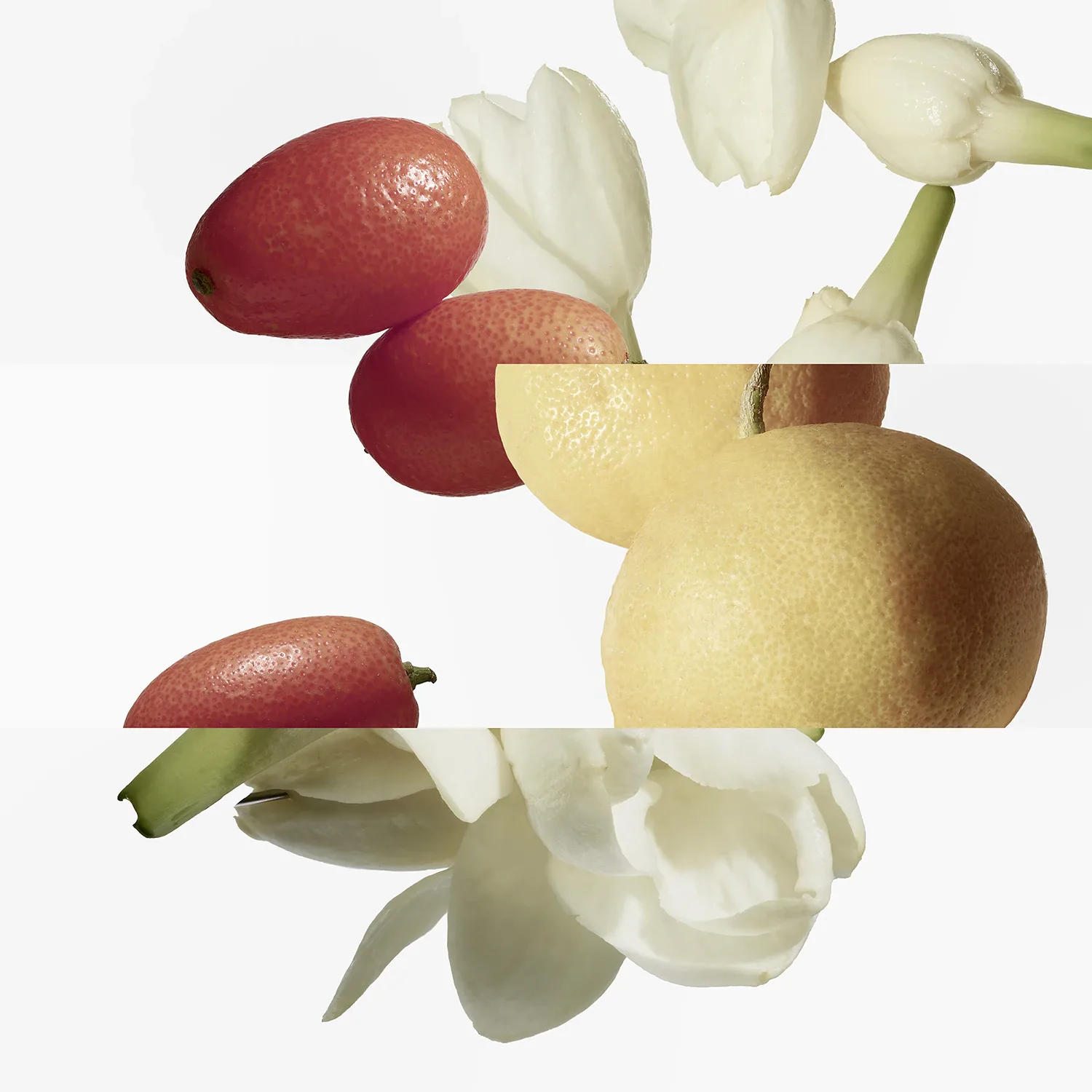 le jardin de monsieur li - eau de toilette