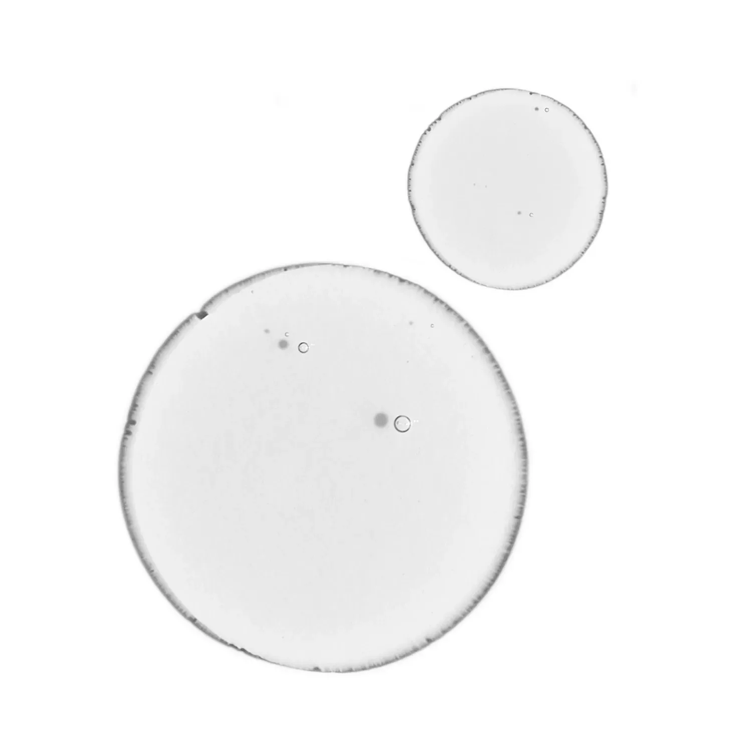 balancing & clarifying serum - dengeleyici & arındırıcı serum