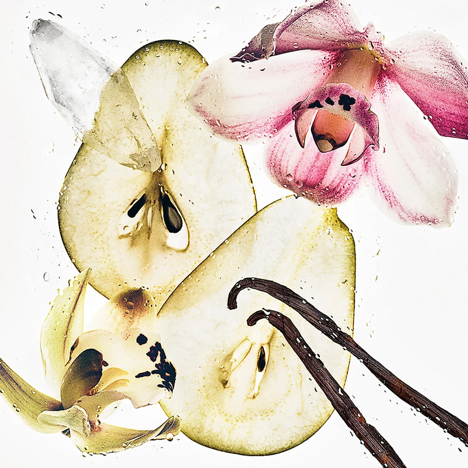 ck nude vanilla - hair & body perfume mist