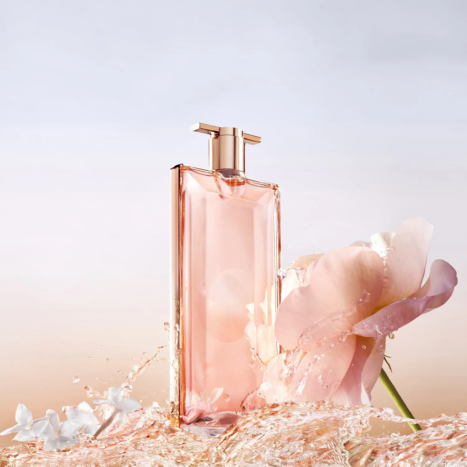 idôle - eau de parfum seyehat boy