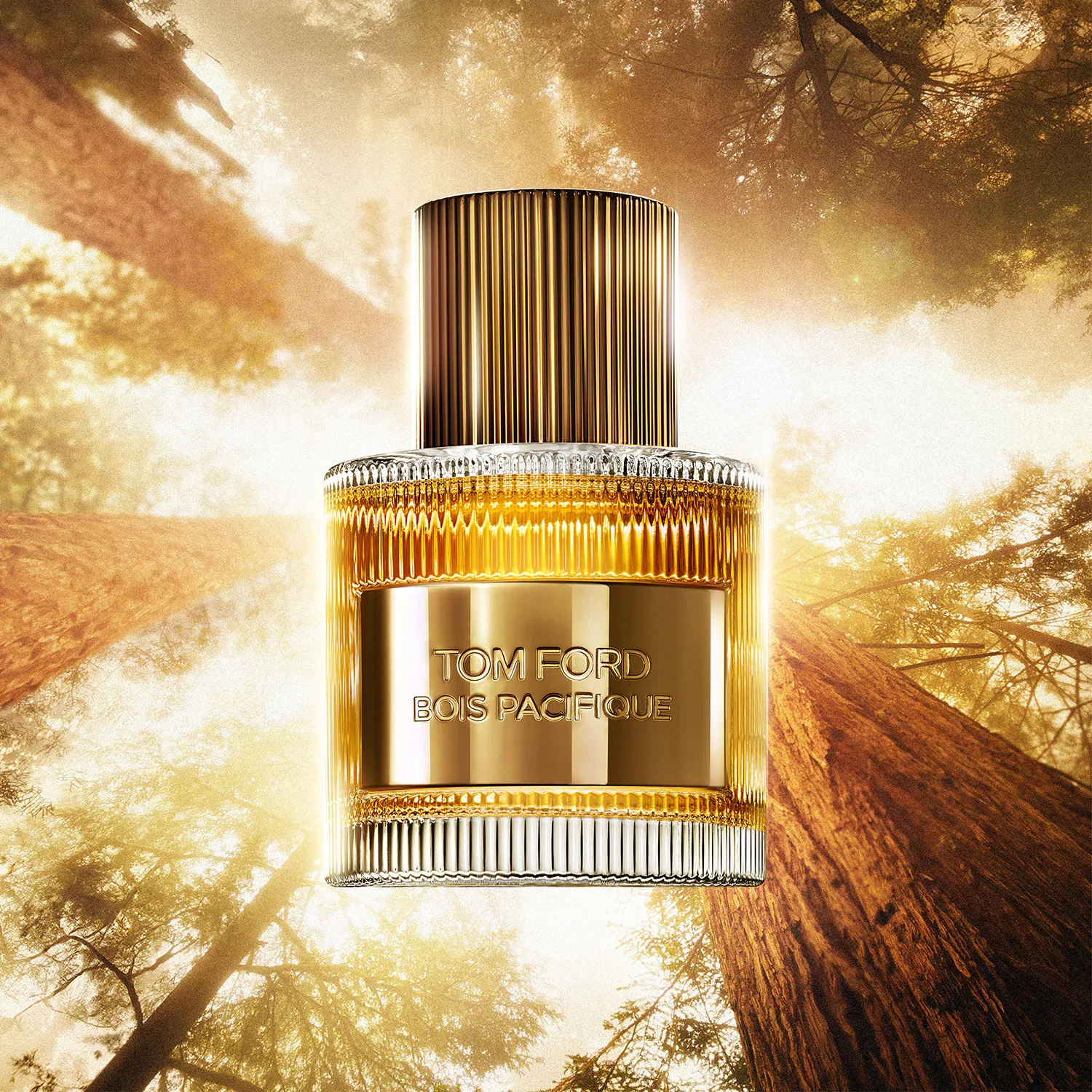 bois pacifique - eau de parfum