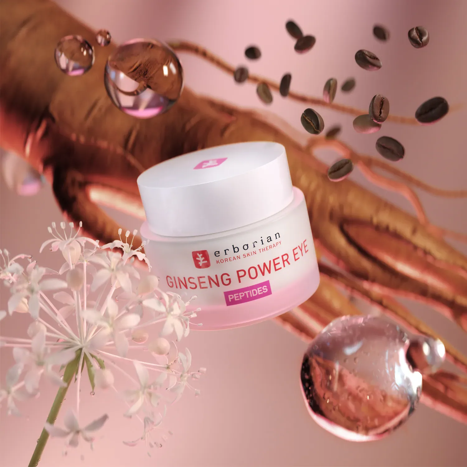 ginseng power yeux – i̇nce çizgiler ve kırışıklıklar