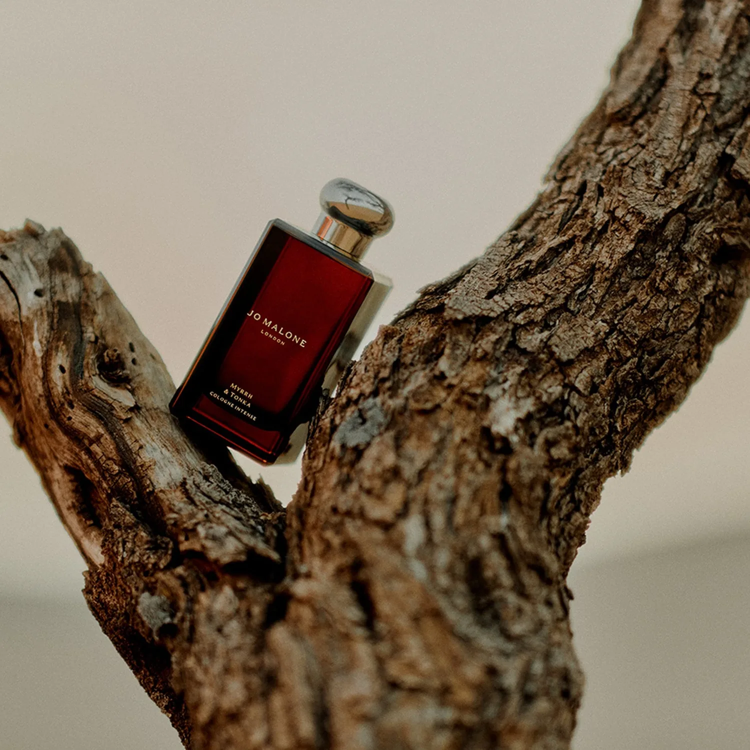 myrrh & tonka - cologne
