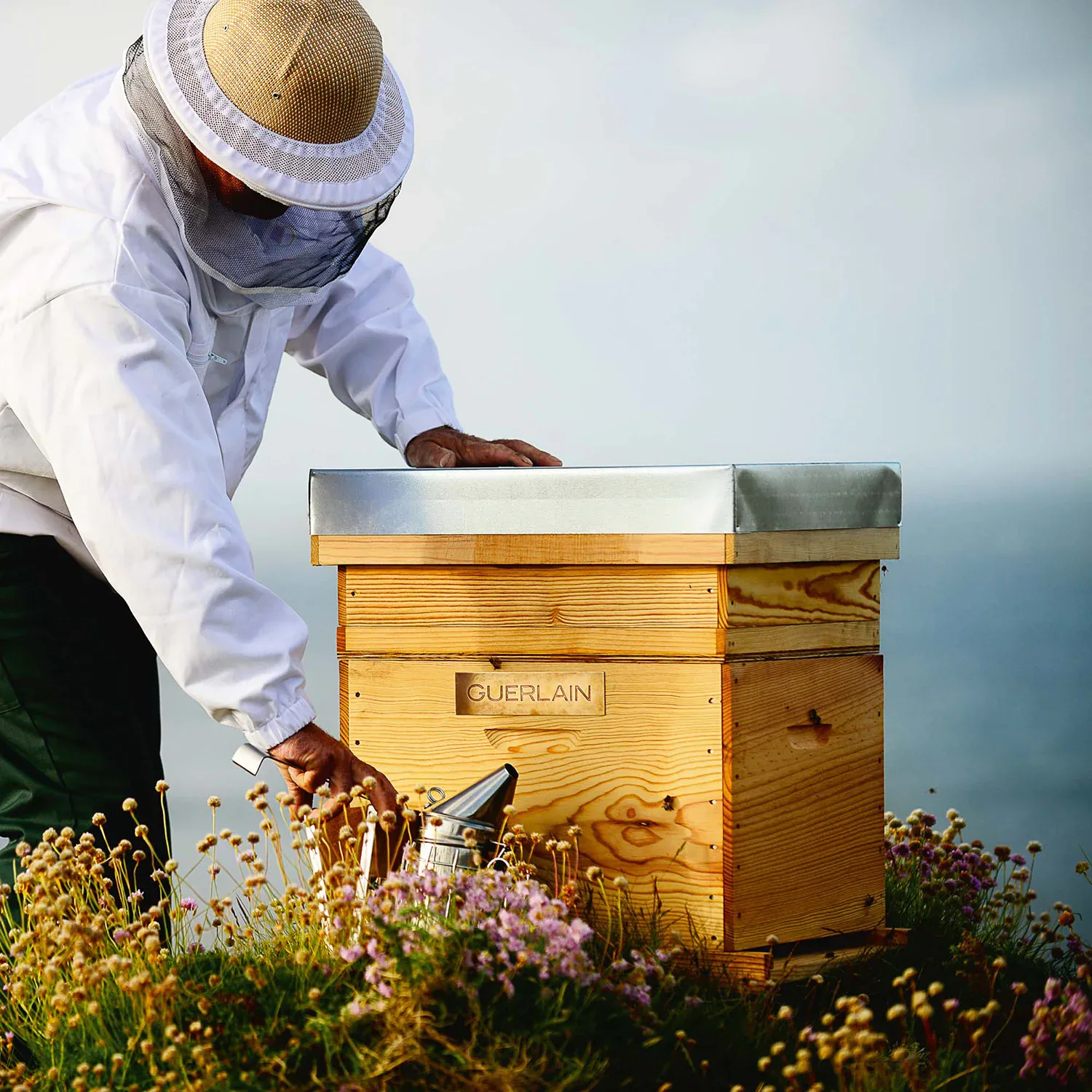 abeille royale bee glow