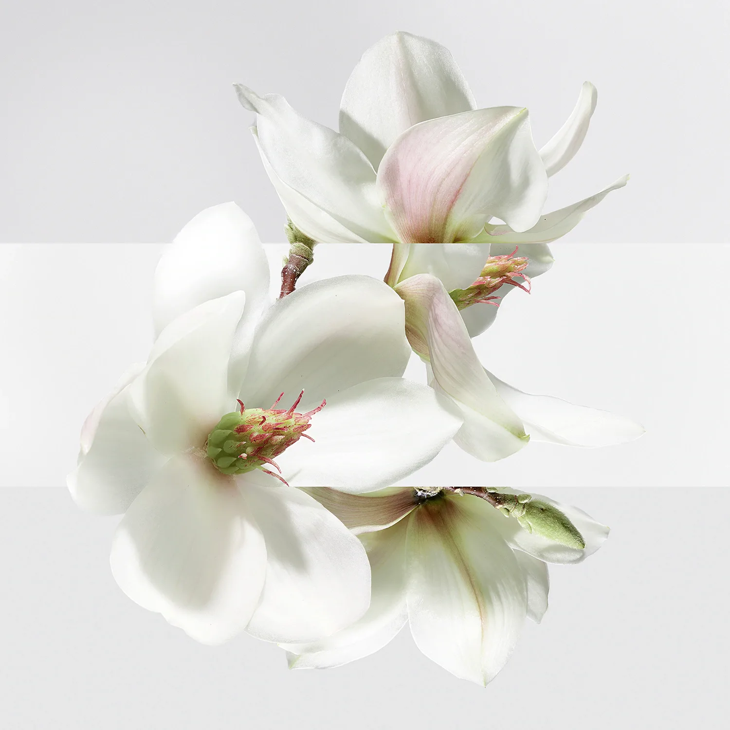 un jardin sur la lagune - eau de toilette