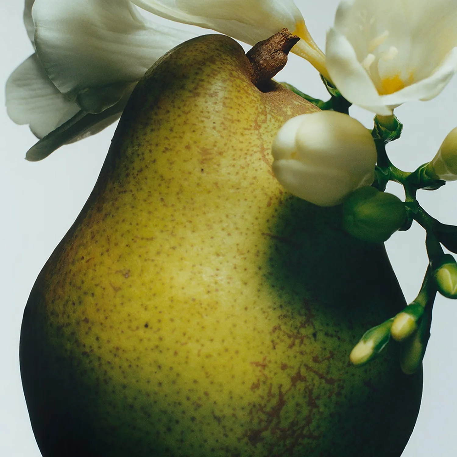 english pear & freesia - seyahat boy