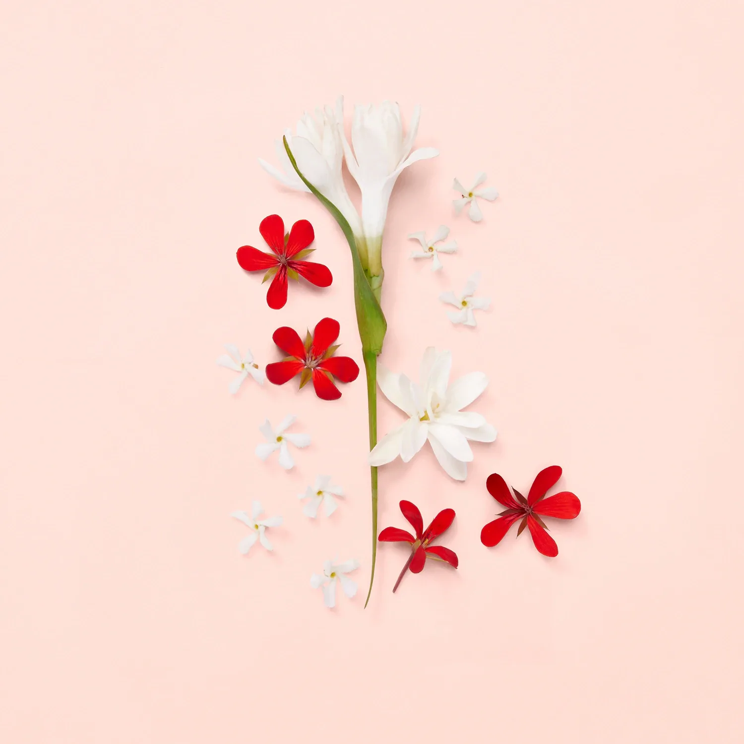 gucci bloom - eau de toilette