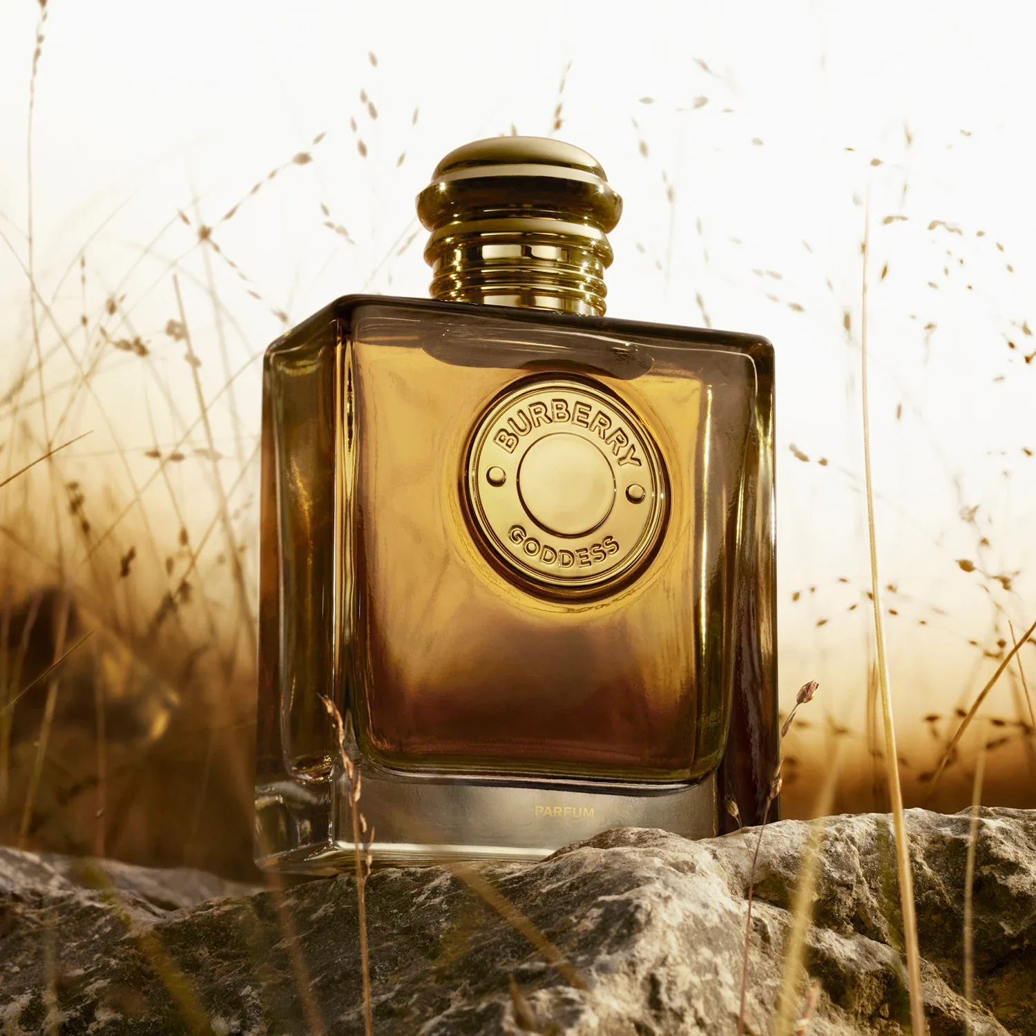 burberry goddes parfum