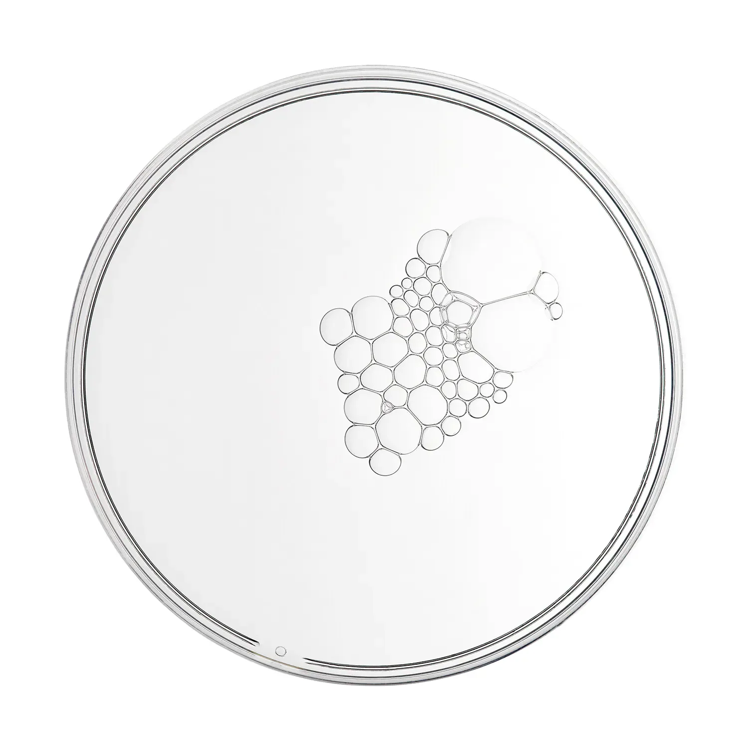 multi-active delivery essence- multi-aktif taşıyıcı esans