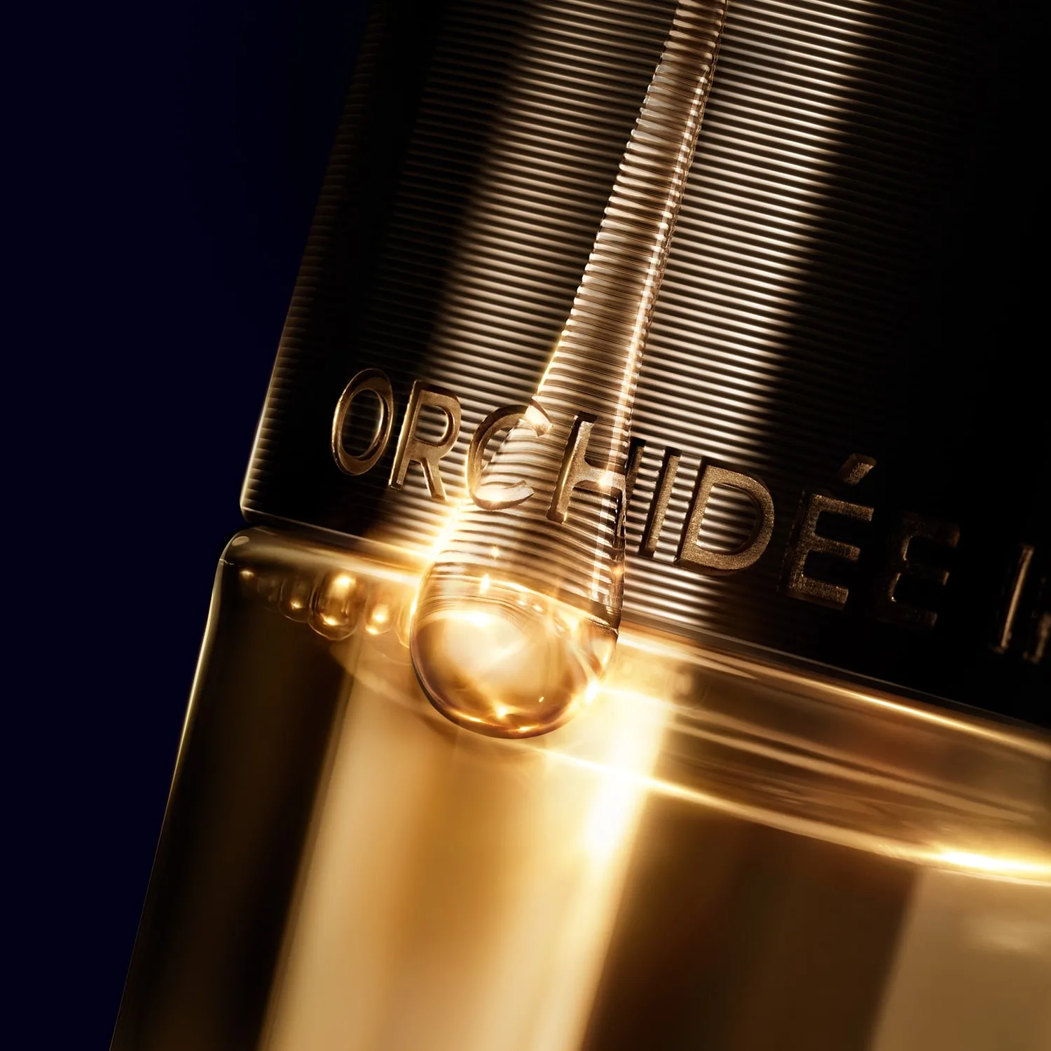orchide imperial - oil pump